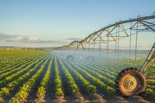 农业科技带来无限可能：驱动未来农业的科技进步