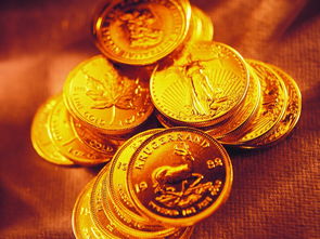 投资黄金和贵金属的缺点不包括 强投机性