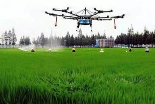 农业科技创新发展 全面推动乡村振兴