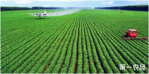 农业科技进步对农业发展的影响
