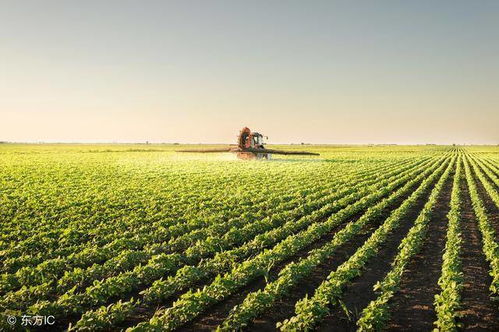 农业科技：推动农业革命的股票，未来潜力无限！