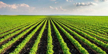 农业科技投资机会有哪些方面