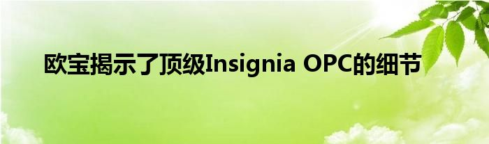 欧宝公布顶级 Insignia OPC 的细节 