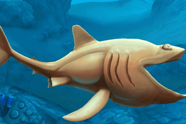 姥鲨的特点